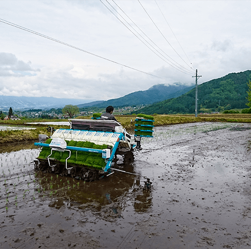 農業生産法人　岳農